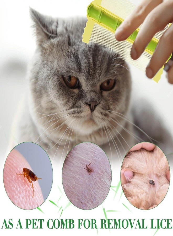 START MAKERS 3PCS Dandruff Comb Set - Extra Fine Tooth Combs for Women, Men, Kids - Removes Lice and Conditions Hair Care Grooming - Image 5